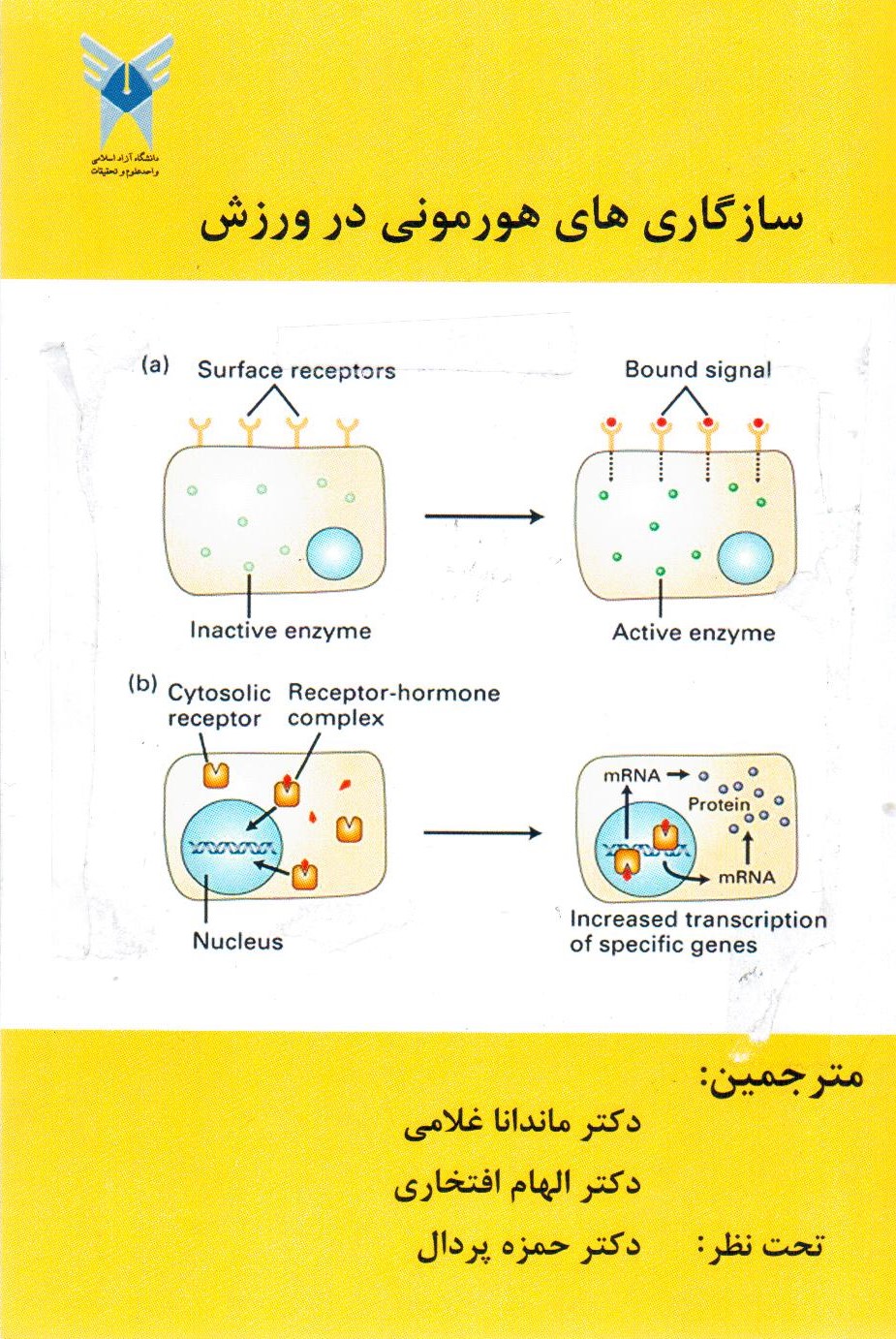 تصویر جلد کتاب